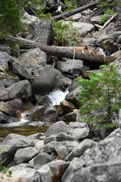 DSC_4626 (Large).JPG